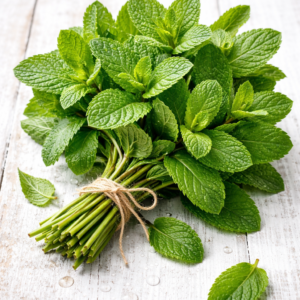 Fresh 1 Bunch Pudina (Mint)