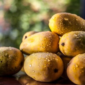 Mango Kesar - 1.5kg 6PC