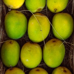 Mango Alphanso - 3kg 12PC